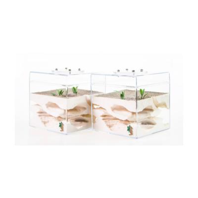 China Plastic Minimalist Nordic Design Reptile Box Aquarium Clear Acrylic Accessories for sale