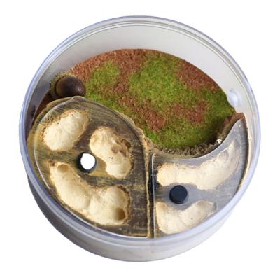 China Viable Colony Observation Design Circular Formicarium For Ants for sale