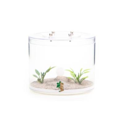 China Viable Container with Ant Formicarium Farm Artificial Plants for sale