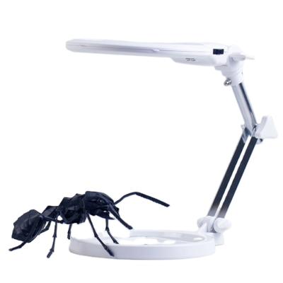 China Equipment Ant Enlarger Magnifier Tools from Ant Lovers Special Insect Transport for sale