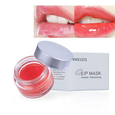 China Lowest Price Moisturizer Moisturizer Hidratante Para Labios Moisturizing Lip Scrub Exfoliate Lipmask Beauty BalsamHoP De Labios Lip Balm Tin for sale