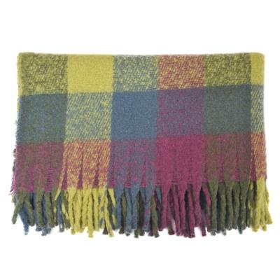 China Single Use Woven Polyester Eco - Friendly Paintbrush Throw Blankets for sale