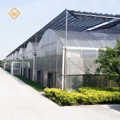 China Vegetable System Multi-span External Shading Glass Greenhouse For Agricultural for sale