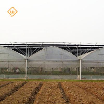 China Multi-span Vegetable Cheap Greenhouse With Glass Outer Shading System For Agriculture for sale