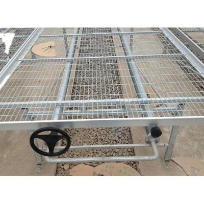 China Good quality cultivation agriculture greenhouse soilless seeding and irrigation mobile rolling bench for sale