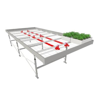 China Factory Sale Cheap Price Wire of Movealbe Mesh Greenhouse Rolling Table /Bench for Hydroponics Growing for sale