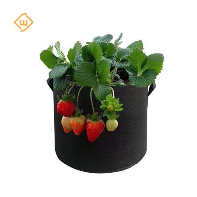 China Free Samples Durable 3 Gallon 5 7 10 15 Grow Bags Garden Plant Fabric Pot For Growing Bags for sale