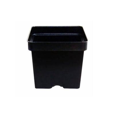 China Modern Decoration Black Bonsai Accessories Plant Tree Rectangle Small Plastic Flower Pot for sale