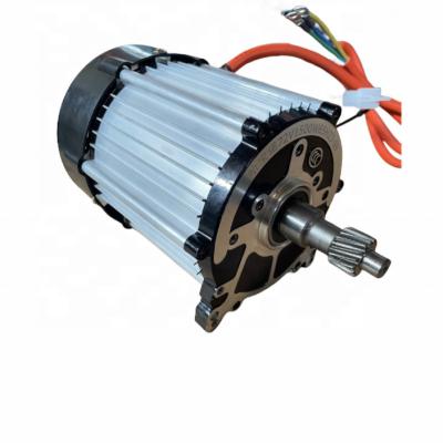 China Best Selling Waterproof DC 4Kw Brushless Motor 48V Electric Outdoor for Electric Cargo Bike for sale