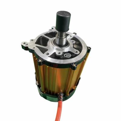 China New Trend 1000W Electric Car Waterproof Fan Motor 60 Volt DC Motor For Electric Car Adult for sale