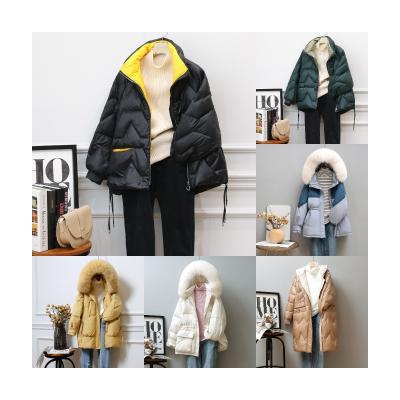 China New Arrival Anti-Wrinkle Sexy Cotton Bubble Coat Crop Down Stripper Winter Jacket Women's for sale