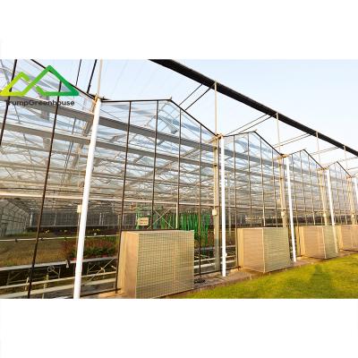 China Stable Structure Easily Assembled China Venlo Intelligent Hollow Glass Greenhouse For Agriculture Hydroponics Commercial Multi Span Greenhouse for sale