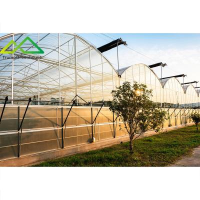 China Stable Structure Easily Assembled Galvanized Steel Frame Multi Span Glass Greenhouse For Agriculture Low Cost For Commercial Use for sale