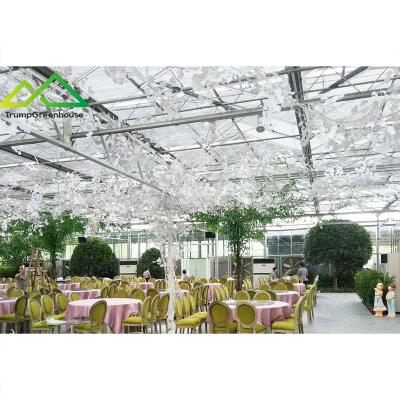 China Stable Structure Easily Assembled Intelligent Control Full Glass Venlo Type Greenhouse With Cooling / Shading / Ventilation / Lighting System for sale