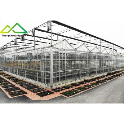 China Stable Structure Easily Assembled Large-span Nursery Greenhouse, Automatic Irrigation/Ventilation/Lighting/Temperature Control Green House Metal Frame for sale