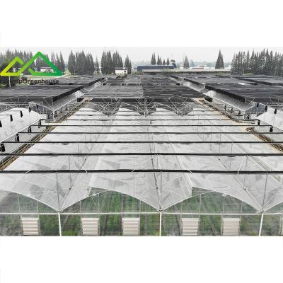 China Stable Structure Easily Assembled Sawtooth Roof Multi Span Greenhouse For Commercial Agricultural Production for sale