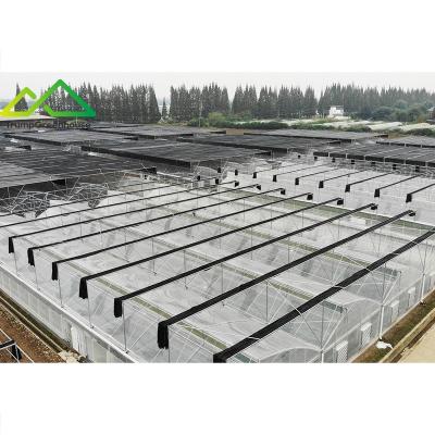 China Stable Structure Easily Assembled Agricultural Greenhouse Manufacturer China Hot Sale Sawtooth Tunnel Greenhouse Plastic Sheet Cover for sale