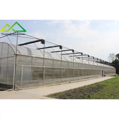 China Stable structure easily assembled single multi-span film greenhouses with surface shading system for sale