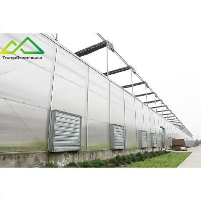 China Stable Structure Easily Assembled Galvanized Steel Frame PC Polycarbonate Multi-span Greenhouse With Cooling System And LED Light for sale