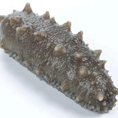 China Nutritious Appropriate Price Good Quality Healthy Food Rte Delicious Sea Cucumber for sale