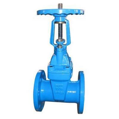 China Gate valve rising to dn100 dn200 4 inch 6 inch 8 inch pn16 GGG40 general malleable iron stem flange caliber for sale