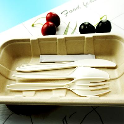 China Disposable and Biodegradable Dishes Cutlery Paper Bag Knife Fork Recyclable Biodegradable Spoon for sale