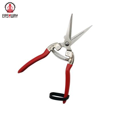 China Anti-Slip Handle Shears Sturdy Fruit Tree Scissors Pruner Flower Cutting Garden Scissors for sale