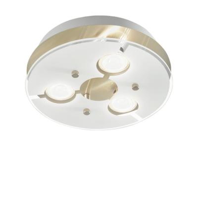 China Best Selling Modern Home Decoration Modern Ceiling Outdoor Mounted Led Lamp for sale