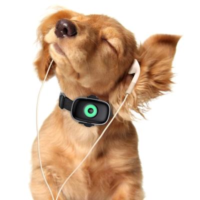 China 4G LTE Two Way Calling Children GPS Tracker Small Size GPS Dog Collar Tracker None for sale