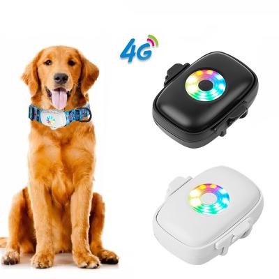 China Small Size Kids GPS Tracker 4G GPS Dog Collar Tracker Two Way Calling None for sale