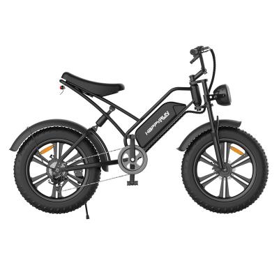 China EU steel electric bike with 750W 48V lithium battery electric bicycle for sale