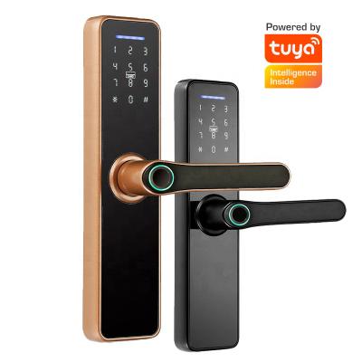 China Home Security Padlock Tuya Smart App WiFi Remote Control Digital Fingerprint Door Lock On Wooden Door for sale