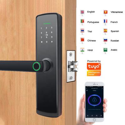 China New Arrival Smartsteps Indoor Entry Tuya WiFi Keyless Smart Lock For Apartment Door 100 Pcs for sale