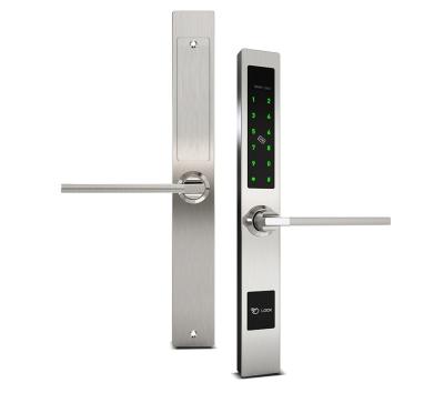 China Southeast Vietnam Hotel Apartments Office TTLock App Sliding Door Smart Zinc Alloy Zinc Alloy Home Aluminum Glass Door Lock for sale