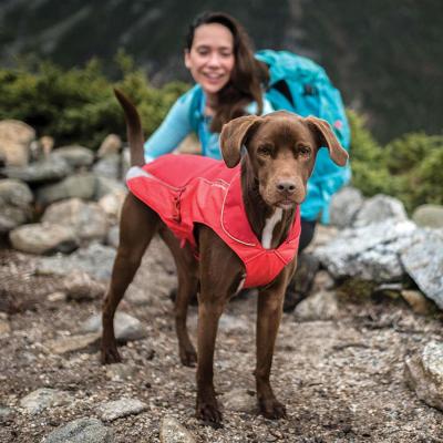 China La chaqueta del invierno del perro cabe los perros de todos los tamaños con el material durable de la Rasgón-parada hecho para la cobertura de tres estaciones mientras que tiene en cuenta el movimiento natural en venta