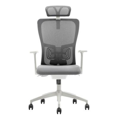 China Executive Mesh Ergonomic Office Seating Chair (Height) Lumbar Support 200kg Director Adjustable Armrest Heavy Duty Comfortable Fabric (New) for sale