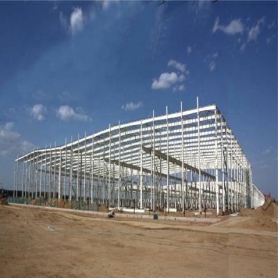 China Modern Duowei Elmtaryd Steel Structure Poultry Sshed Chicken Housing Construction for sale