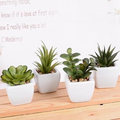 China 4 PC-Packs Succulents Potted Plants Minimalist White Cactus Bonsai Plants Garden Greenery Faux Succulents For Home Decor for sale