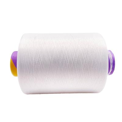 China Hot Selling Pre-consumer RAW White Anti-pilling Recycle NYLON6 Yarn DTY 30D/12F SD for sale