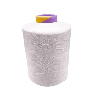 China Good Sales Anti-pilling RAW White Pre-consumer Recycle NYLON6 Yarn DTY 40D/12F*2 SD for sale