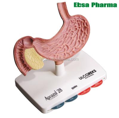 China PVC Advanced Medical Supplies Human Teaching Stomach Model With Pancreas for sale