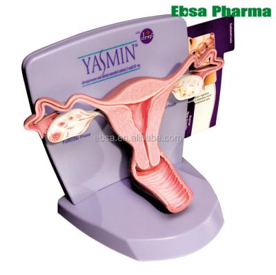 China PVC Advanced Medical Supplies Human Teaching Uterus Model for sale