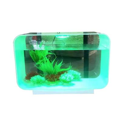 China 2021 New Style Breeder North America Round Corner Fish Tank Indoor Seamless Acrylic Glass Aquarium Design Desktop Wholesale Custom Size for sale