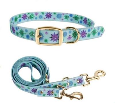 China Sustainable Nylon Silicone Recycled Collar Leash Top Sales Customization Printing for sale