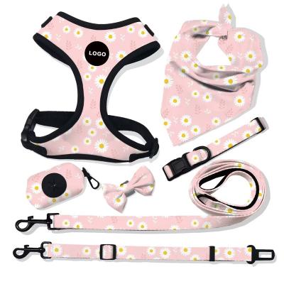 China Fashionable Promotional Padded Dog Collar And Leash Harness Set Pets Accessories Harness for sale