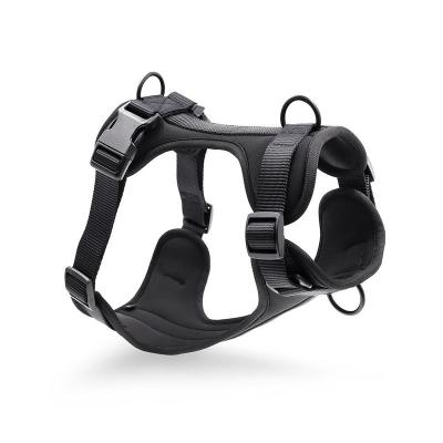 China Top Selling New Arrival Padded Customize Soft Accessories Dog Harness With Logo for sale