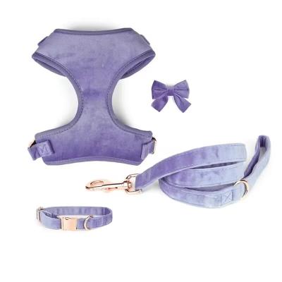 China Newly Padded Custom Soft Comfortable Velvet Dog Harness Set Dog Collar with Durable Gold Metal Buckle Leash for sale