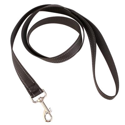 China Viable Competitive Price Industrial Nylon Rope Dog Traction Rope Braided Climbing Rope Dog Lead Dog Leash for sale