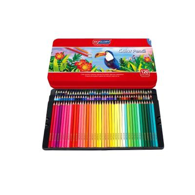 China Customizable Drawing Colored Pencils Art Pencil Set Kids Painting 12pcs Custom Color Eco-friendly Material for sale