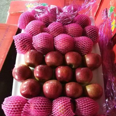 China Fresh JIGUAN APPLE for sale